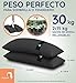 Baser Bolsas de Arena rellenables, para Exteriores. Peso para sombrillas, topes de...