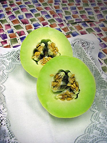 Burpee Green Flesh Organic Melon Seeds 20 seeds