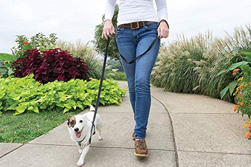 Image of PetSafe Teal 3-in-1 Harness, Small