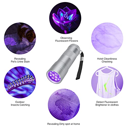 Cosoos Black Light Flashlight, 2 Pack 12Led 395Nm Uv Handheld Black Light, Mini Torch Light, Dogs Urine Detector For Dry Urine Stains, Bed Bugs And Scorpions. #TOP5