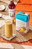 Monin Pina Colada Smoothie Mix (46 oz Carton)