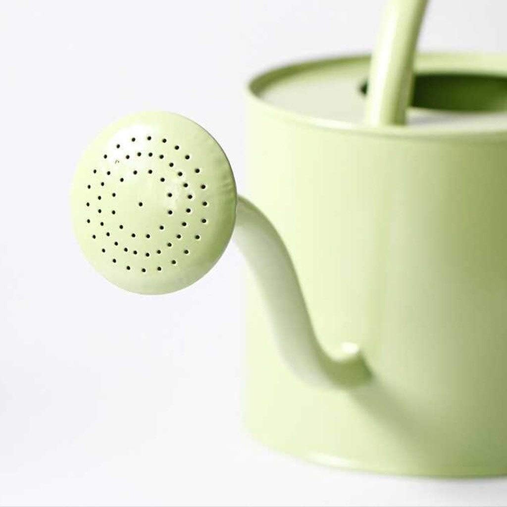 Watering Can Potted Watering Can 5L Watering Cans Gardening Balcony Home Tools Decorative Watering Can