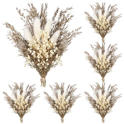6 Pzs Ramilletes Mini Secos, Decoración Boho 4 Pulg miniatura 1