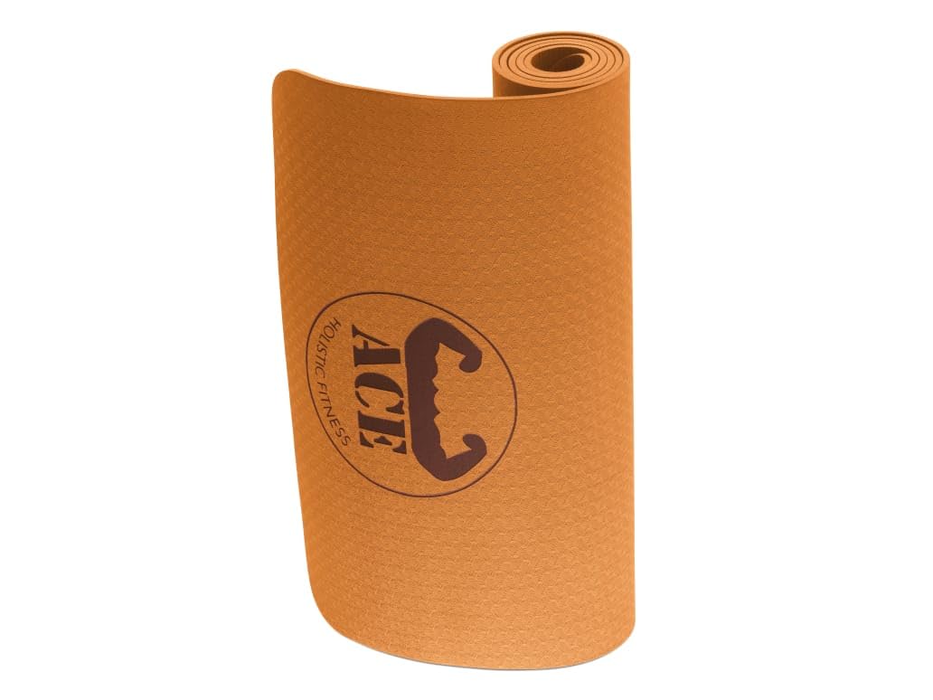 ACE HOLISTIC FITNESS Yoga Mat for Gym Workout with 6mm Thickness | Anti-Slip Yoga Mat for Men & Women | Perfect Exercise Mat for Home Workout | Mustard Yellow, Pack of 1 (B0CND8QD1W) Amazon Price History, Amazon Price Tracker