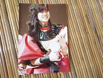 オリジナルアクリルスタンド中森明菜赤衣装 史上初！中森明菜のアクリルスタンド 24年7月開催ファンクラブ