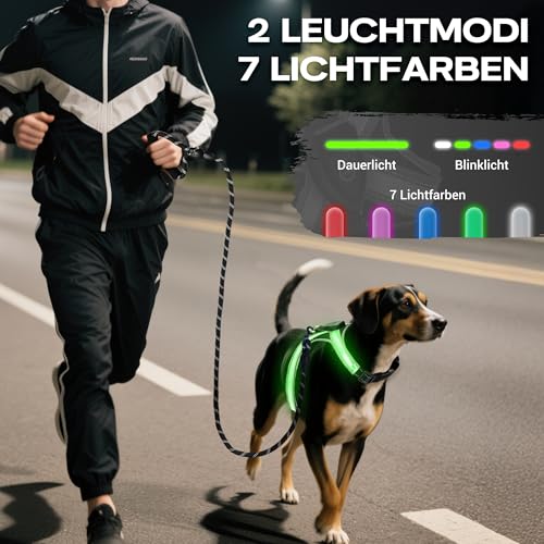 WATSABRO LED Hundegeschirr Set, mit 1,5m Reflektierende Hundeleine, Verstellbare Aufladbares Beleuchtetes Hundegeschirr für Nachtspaziergänge(Nicht geeignet für kleine Hunde wie Chihuahuas)
