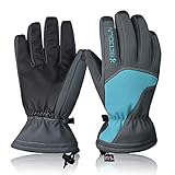 BISON DENIM Skihandschuhe Herren Damen Thermo Handschuhe für Winter Outdoor Ski Snowboard Radfahren Wandern Radsport Motorrad Sporthandschuhe (Grau&blau, M)