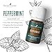 Peppermint Essential Oil by Young Living, 15 Milliliters, Topical and Aromatic