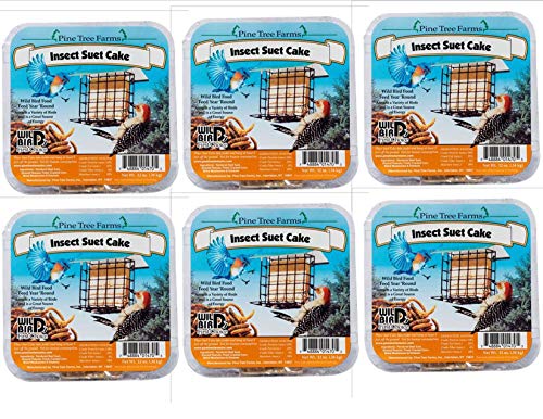 Pine Tree Farms Insect Suet Cakes 12 oz. 1470 Made in USA (6)