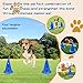 Oulores Dog Agility Hurdle Cone Set Dog Agility Course Backyard Set Include 12 Agility Cones 6 Agility Rods Agility Training Equipment Height Adjustable Obstacle with Storage Bag Blue