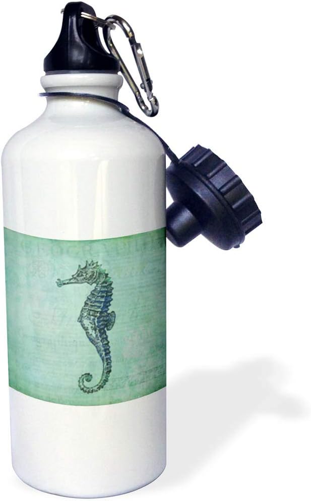 3dRose wb_262995_1 Vintage Water Bottle