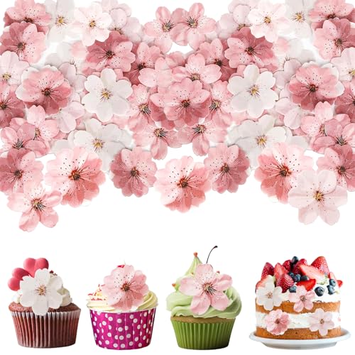 SGQTGIMU 50 Pezzi Fiori Commestibili Cupcake Toppers, Fiori di Ciliegio Decorazioni Commestibili Per Cupcake Per Compleanni, Feste Di Matrimonio (Rosa E Bianco)