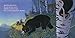 Where, Oh Where, Is Baby Bear?