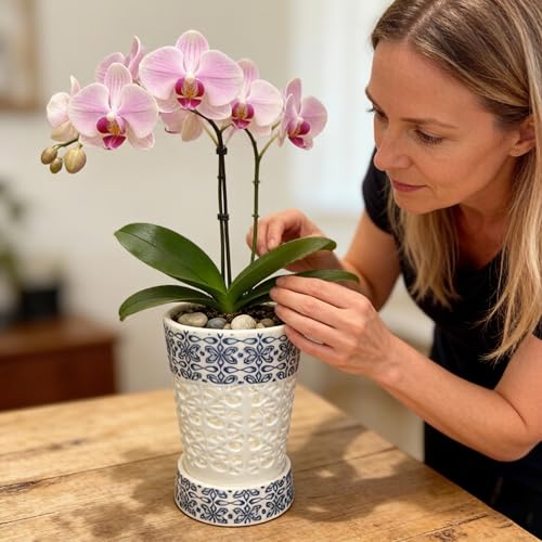 Pots à orchidées en céramique pot de fleurs avec drainage 10cm