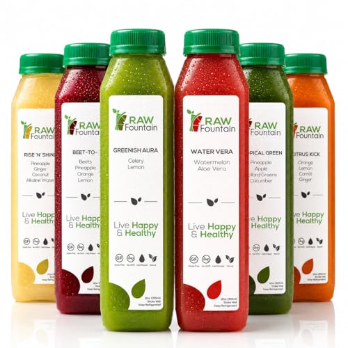 Raw Fountain 1-Day Juice Cleanse