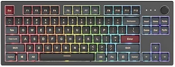 Montech MKey TKL Mechanical Gaming Keyboard: Customizable RGB LED, Premium MDA Profile PBT Keycap, Hot-Swappable Gateron G Red Pro 2.0 Pre-lubed Switches, Osaka Castle Theme, Darkness(MK87DR)