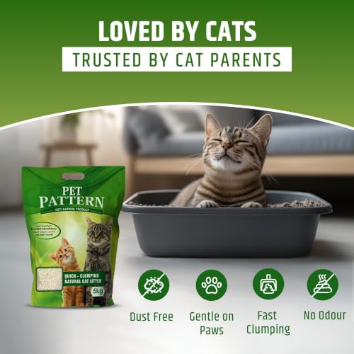 Pet Pattern Natural Cat Litter, 5kg - Image 3