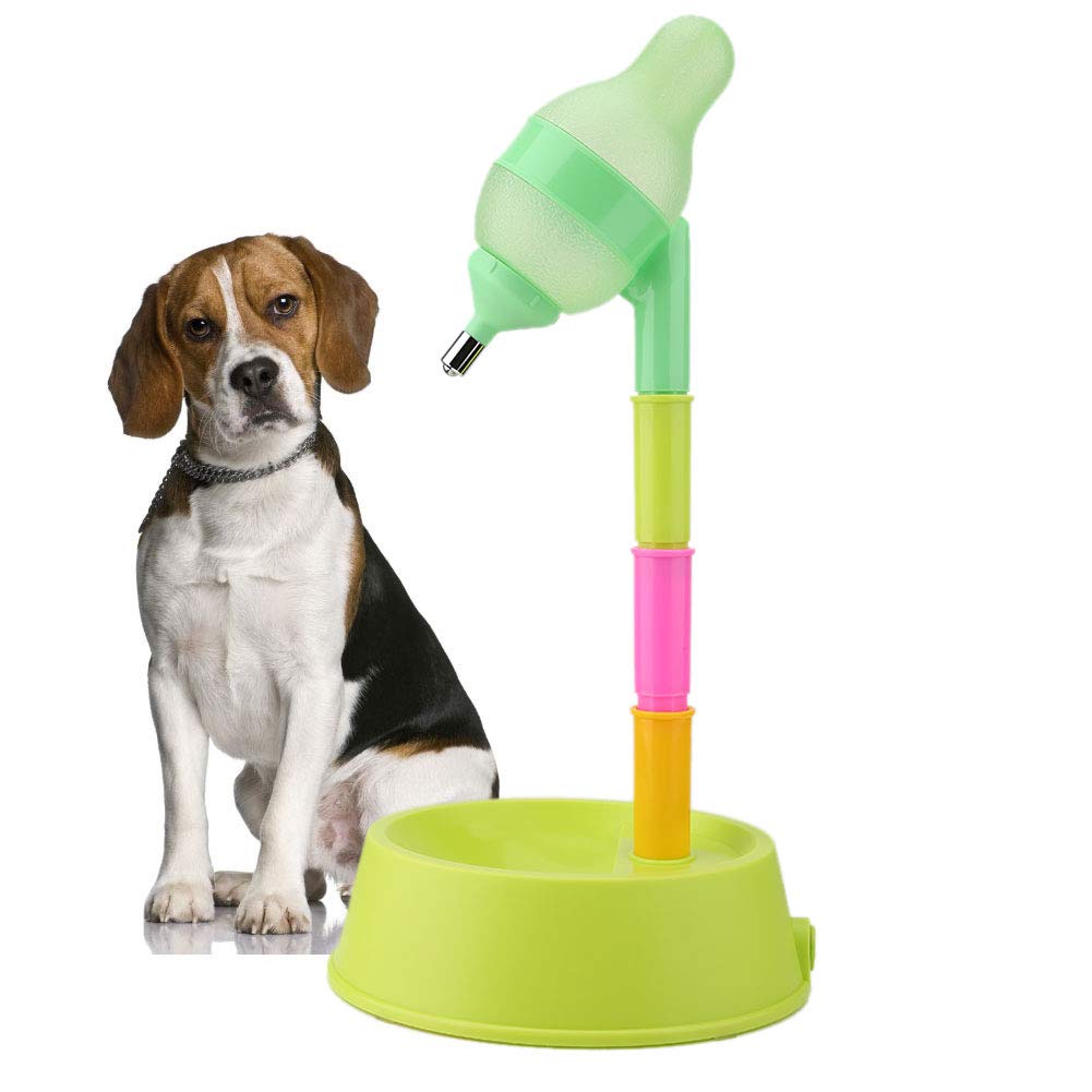 Dispenser di Acqua per Cani in plastica Portatile a Tenuta stagna, Ciotola per Acqua per Animali Domestici Regolabile in Altezza Gatti per Animali Domestici (Green Base)