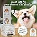 Corgi Derp! Color Changing Mug, Funniest Corgi Coffee Mug Ever, Best Corgi Gifts for Corgi Lovers, Corgi Butt with Corgi Mug, Funny Corgi Gifts for Coffee Lovers