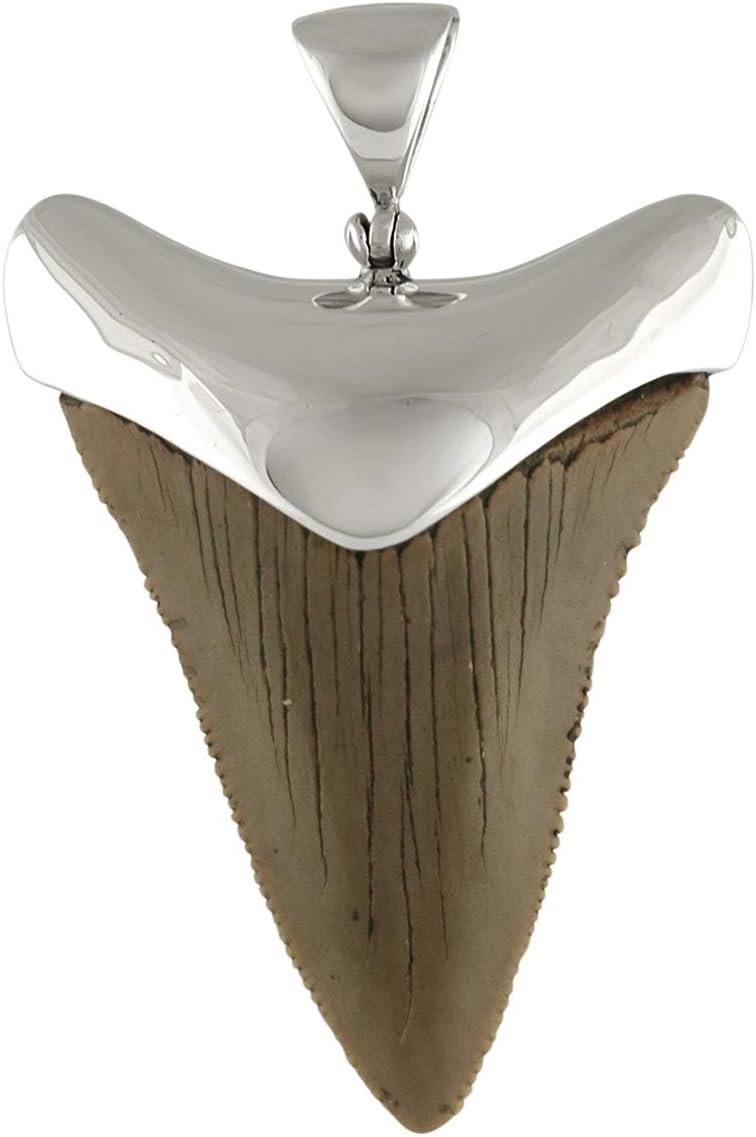 Fossil Giant Great White Shark Tooth Sterling Silver Cap-Set Pendant