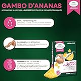 Zoom IMG-1 l angelica gambo d ananas Zoom IMG-1 l angelica gambo d ananas