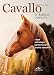 Produktbild Cavallo. Il manuale completo