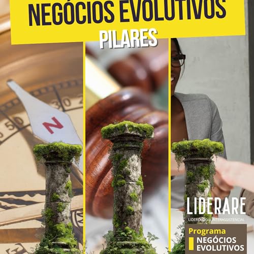 176 - Neg&oacute;cios Evolutivos - Pilares