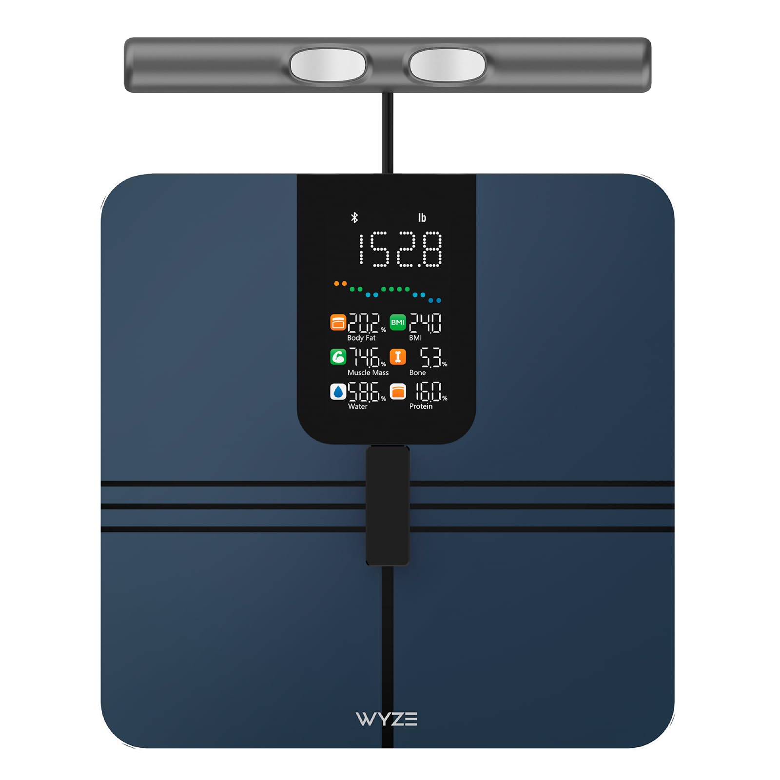 Wyze BodyScan Smart Scale with Handle, 8 Body Composition Electrodes for Body Weight, BMI, Body Fat, Muscle Mass, Segmental Analysis, 400 lbs, Black-picture-19