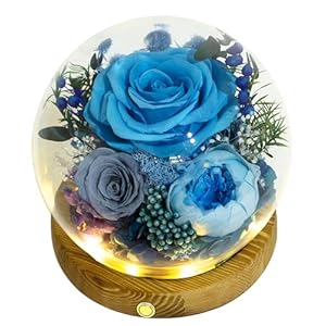 Valley of Rain Forest Long Lasting Real Flowers Unique Floral Gift For you to send Love for All Occasions for Indoor Decoration Blue Rose Grey Rose White Blue Austin Rose