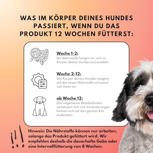 People who Kaer Probiotika Hund – 4-Stämme Komplex zum Darmflora Aufbau & Darmsanierung – Synbiotikum Drops bei Verdauungsstörungen & Allergien – Unterstützt Immunsystem & Verdauung (60 Stück)