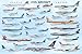 Produktbild Educational - Bildung Zivile Flugzeuge - Civil Aircraft Bildungsposter Plakat Druck - Maxiposter Version in Englisch - Grösse 91,5x61 cm
