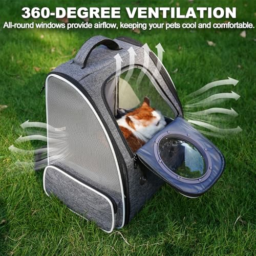 Katzenrucksack Haustier Rucksack belüftet mit Sicherheitsleine & Raumkapsel-Design - Leicht faltbar für Reisen, Outdoor & Tierarztbesuche bis 6kg (Grau)