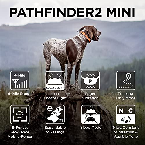 Image of Dogtra Pathfinder 2 Mini GPS Dog Tracker e Collar 4 Mile Long Range LED Light No Monthly Fees Free App Waterproof Smartwatch Control Based Real Time Tracking Multiple Dogs Smartphone Required