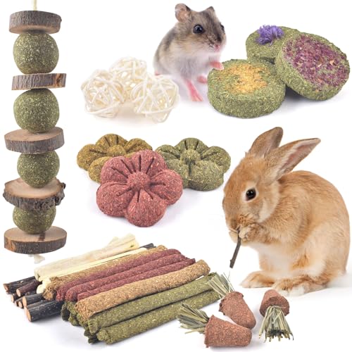 ERKOON Kaninchen Spielzeug 42 Stück Timothy Heu Sticks Karotten Rosengraskuchen Zahnpflege Molar Chinchillas Spielzeug Kauspielzeug für Kaninchen Meerschweinchen Hamster Chinchilla (Mehrfarbig)