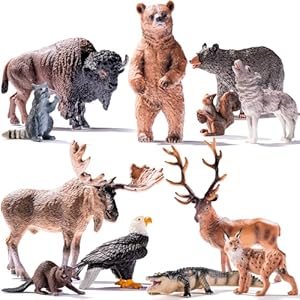12PCS North American Woodland Animals Figurines Toys, Realistic Jungle Wild Animal Figures Includes Wolf,Bear,Eagle,Raccoon Toys, Cake Toppers Birthday Gift Party Favors Toys for Toddlers Kids