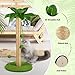 Dohump Cat Scratching Post, 31