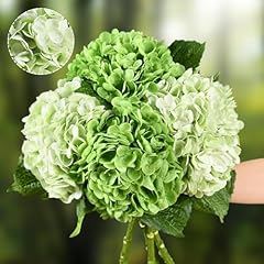 Dark Green & Light Green