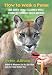 How to Walk a Puma: And Other Things I Learned While Stumbling Through South America