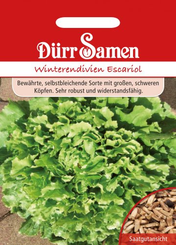 Dürr Samen 0038 Winterendivien Escariol (Winterendiviensamen)