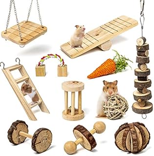 Labeol Hamster Chew Toys Small Animal Boredom Breakers Cage Accessories Pet 11 Pcs Natural Wooden Toys Hamster Ball Swing for Rat Guinea Pig Chinchilla Gerbils Rabbit Parrot Syrian Hamster