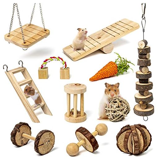 Labeol Jouets à Mâcher pour Hamster Lot de 11 Mâcher en Bois Naturel Petits Animaux Exercice Bell Roller Soins des Dents Jouet Molaire Hamster Cochon d'Inde Chinchilla Perroquet Gerbilles Rats