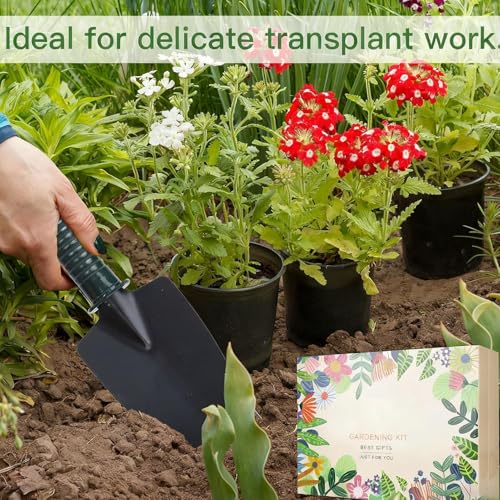 Petit calendrier de compte à rebours de fêtes pour passionnés de jardin