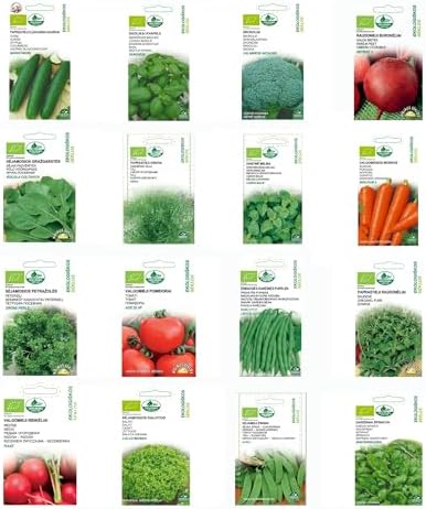 Insalata: Ecco 5 Varietà Di Cui Non Puoi Fare A Meno - Foto 13