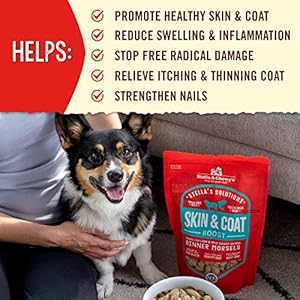 Stella & Chewy's Stella's Solutions Skin & Coat Boost Grass-Fed Lamb & Wild-Caught Salmon Dinner Morsels Freeze-Dried Raw Dog Food, 13 oz. Stella Chewys Stellas Solutions Skin Coat Boost Grass Fed Lamb Wild Caught Salmon Dinner Morsels Freeze Dried Raw Dog Food 13 oz