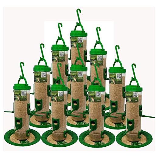 Amijivdaya Large Bird Feeder (Green, Transparent) - Pack of 10