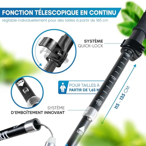 Bâton de marche