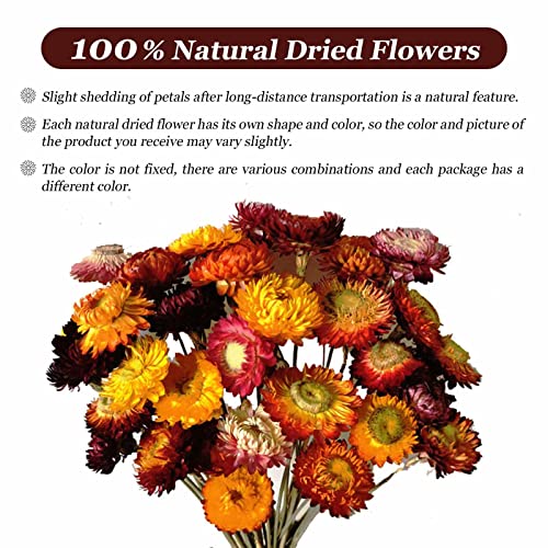 Natural Dried Daisy Flowers Bouquet - 20 Pcs Multicolor Daisies Artificial Sunflowers Chrysanthemum, Dry Flower Arrangements For Wedding, Farmhouse Table Vase Decor, Home Office Party Decoration #TOP2