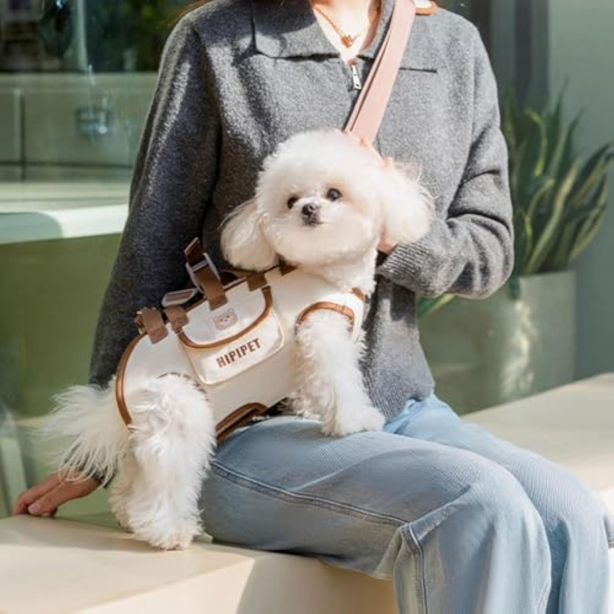 Multifunctional Cute Dog Carrier Lift Harness