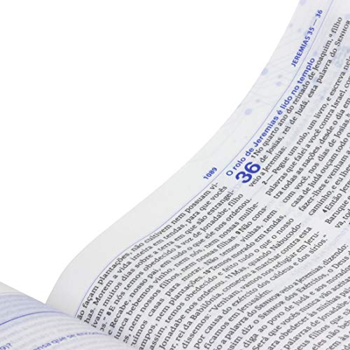 Bíblia de Estudo do Discipulado NAA: Nova Almeida Atualizada (NAA)