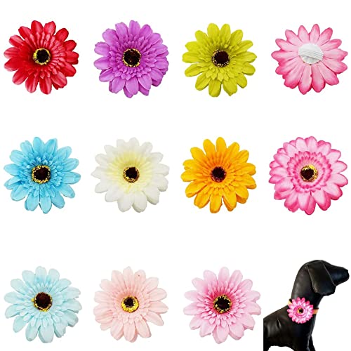 BIPY Collar ajustable para perros, diseño de flores de Gerbera, arcos, cachorros, gatos, accesorios, diapositivas, accesorio de aseo desmontable para disfraz de cumpleaños, boda, festival Cover